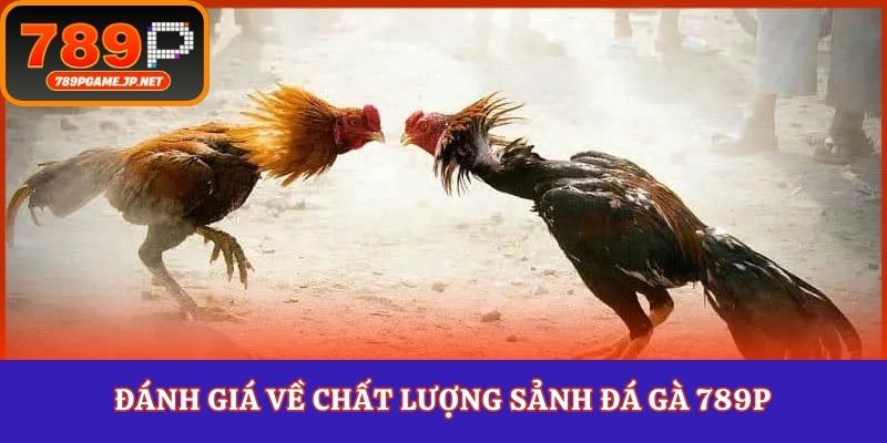 Đánh giá về chất lượng sảnh đá gà 789P